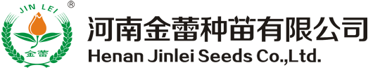 泰安易能鍋爐科技有限公司